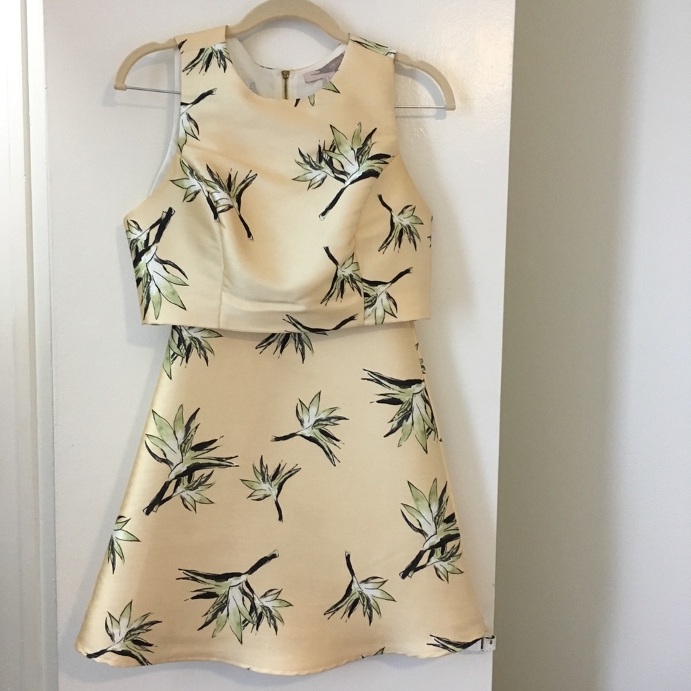Forever 21 Satin Skirt and Crop Top (sold as set)